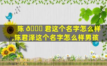 陈 🐅 君这个名字怎么样,陈君泽这个名字怎么样男孩